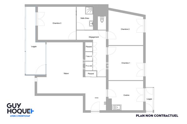 À vendre, T4 lumineux de 96 m², secteur Rouget de l'Isle / Lyon 3ème (69003)
