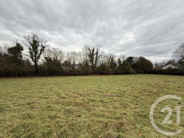 Terrain à vendre  1438 m2 VILLENEUVE D ASCQ - 59