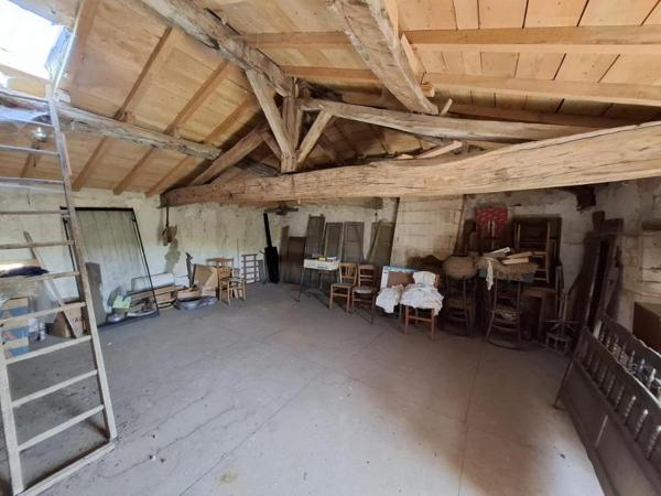 Belle maison de Maître à rénover à BRIZAMBOURG avec beaucoup de dépendances sur 4143m² de terrain 