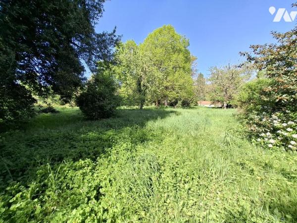 Belle maison de Maître à rénover à BRIZAMBOURG avec beaucoup de dépendances sur 4143m² de terrain 