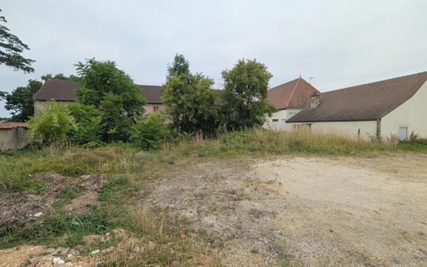 Terrain à vendre    Longecourt-en-Plaine
