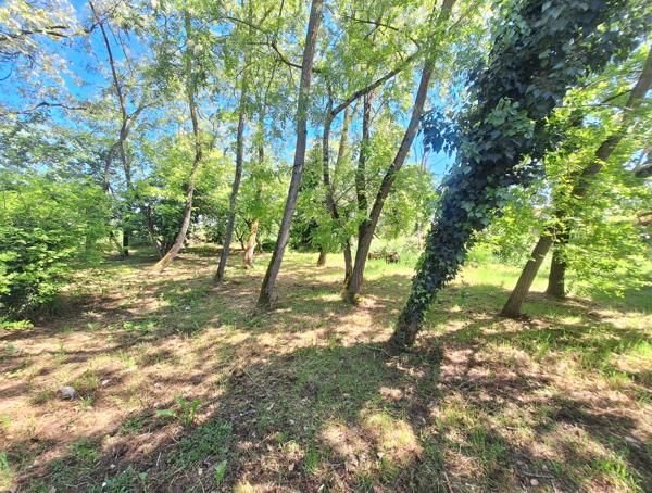 TERRAIN CONSTRUCTIBLE  1484m² VERDUN SUR GARONNE