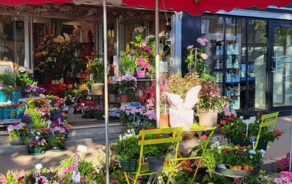 Vente Activité commerciale Fleurs ou autre activité Perros-guirec