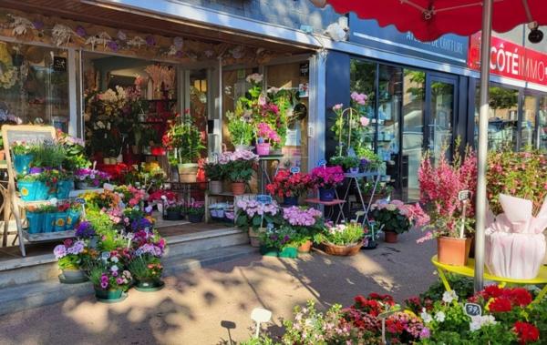 Vente Activité commerciale Fleurs ou autre activité Perros-guirec