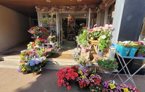 Vente Activité commerciale Fleurs ou autre activité Perros-guirec