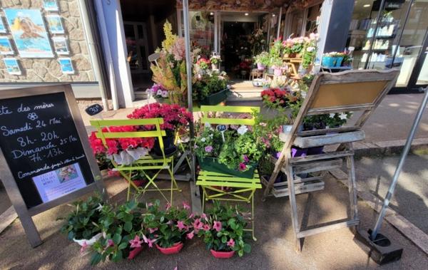 Vente Activité commerciale Fleurs ou autre activité Perros-guirec
