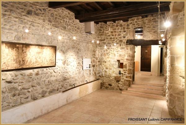 Dpt Drôme (26), à vendre TAIN L'HERMITAGE ancien Hôtel particlier