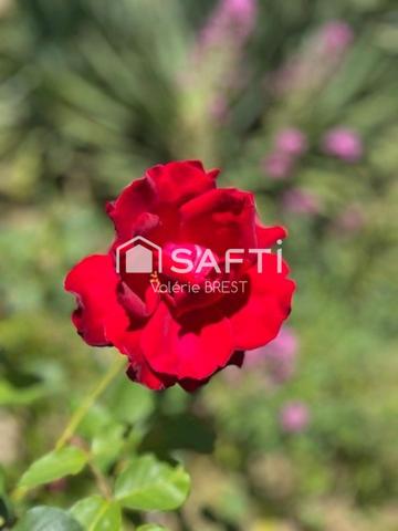 Maison individuelle, provençale- Terrain de 2300m2