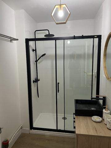 "APPARTEMENT MEUBLÉ 1 PIECE LE MANS 33M2"