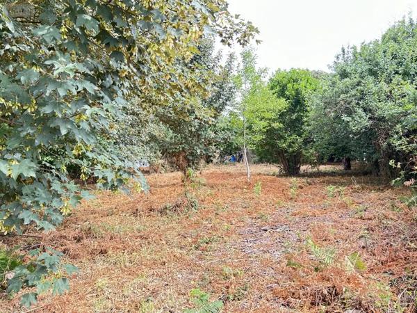 Achat - Terrain à bâtir Guer 56380 700 m 2