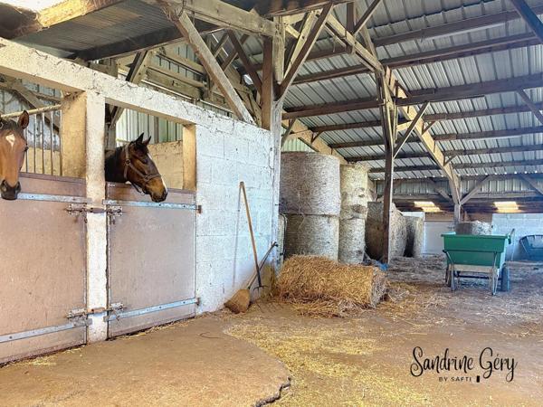 Longère et BOXS proche du CERGO Senonnes