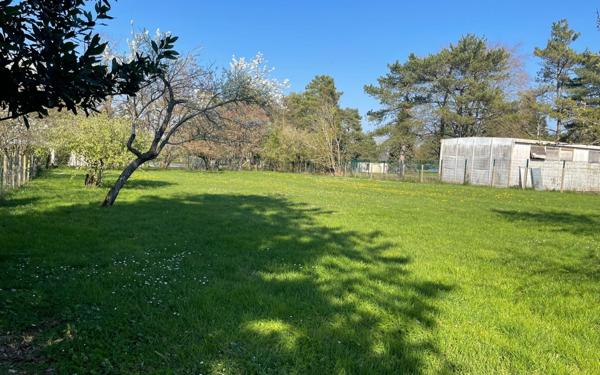 Terrain à vendre    Bourges