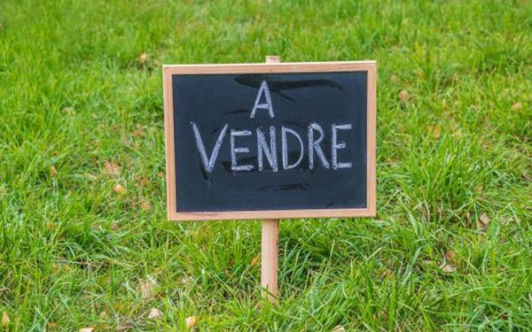 Terrain à vendre