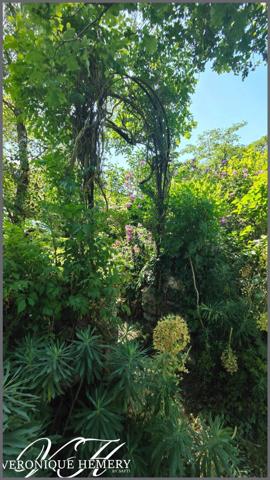 Propriété de charme et de caractère en harmonie avec la nature et le bien être sur plus d'1 hectare