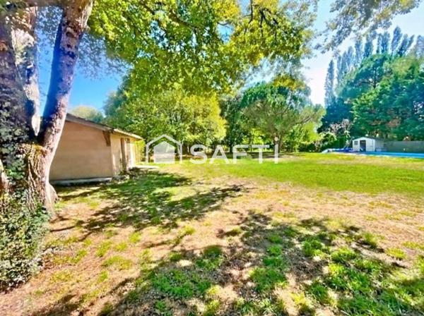 Environnement verdoyant