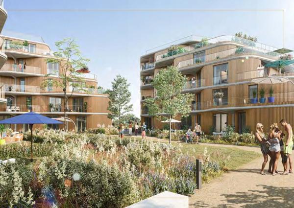 🟡 HÉLIANTHE - DUNKERQUE - Quand la lumière raconte votre histoire