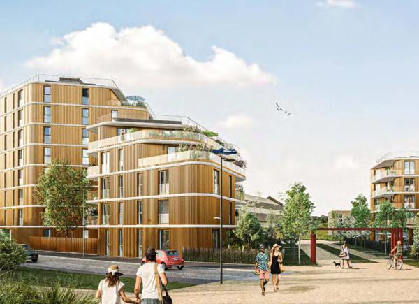 🟡 HÉLIANTHE - DUNKERQUE - Quand la lumière raconte votre histoire