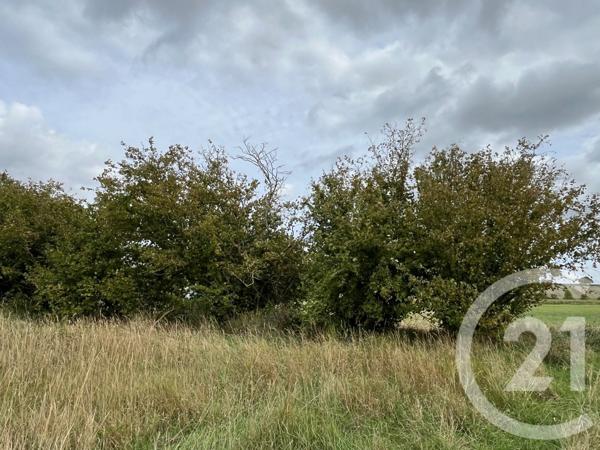 Terrain à vendre  710 m2 CHATELLERAULT - 86