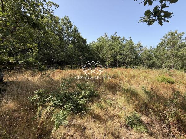 TERRAIN CONSTRUCTIBLE A MURATO