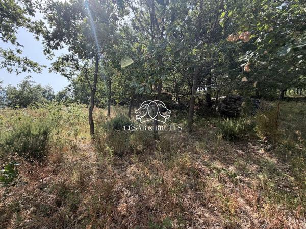 TERRAIN CONSTRUCTIBLE A MURATO