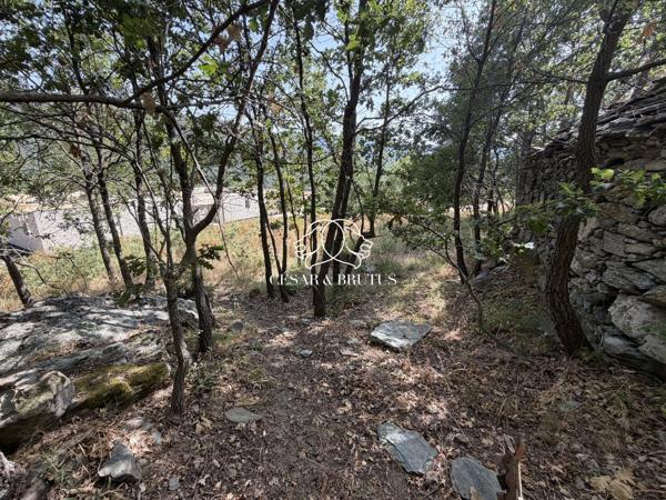 TERRAIN CONSTRUCTIBLE A MURATO