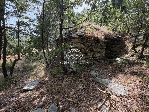 TERRAIN CONSTRUCTIBLE A MURATO