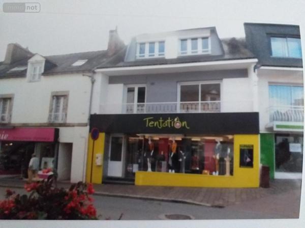 Maison à vendre à Locminé dans le Morbihan (56500), ref : 56005-845