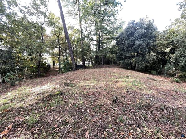 TERRAIN CONSTRUCTIBLE