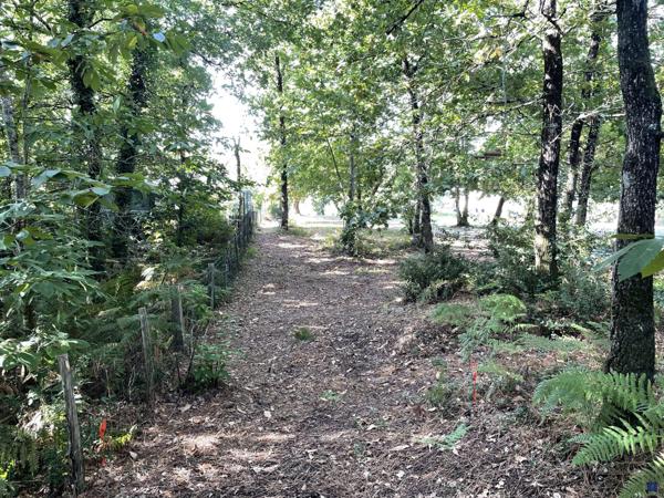 TERRAIN CONSTRUCTIBLE