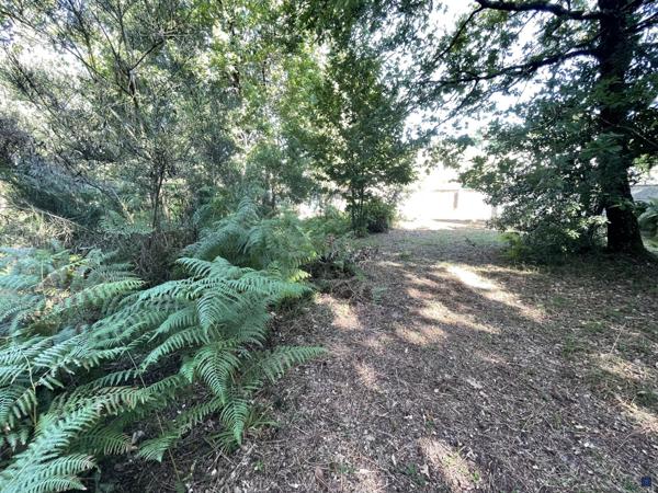 TERRAIN CONSTRUCTIBLE