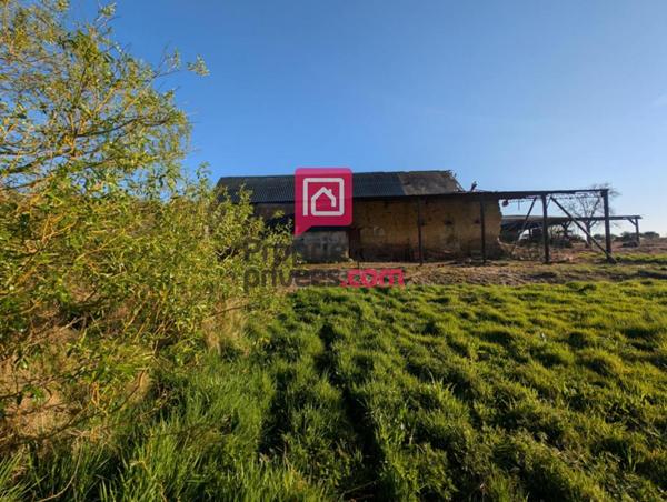 Maison en pierre avec marre à rénover