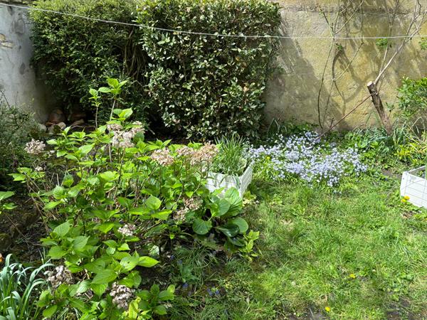 MAISON  CENTRE VILLE  - jardinet  QUARTIER EQUINOXE
