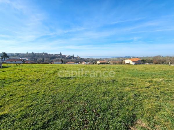 Terrain à vendre de 16 726 m² PANISSIERES (42)