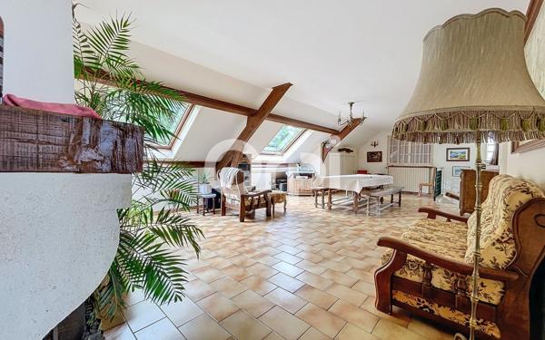 Maison à vendre    7 pièces • 221 m2 Vineuil-Saint-Firmin