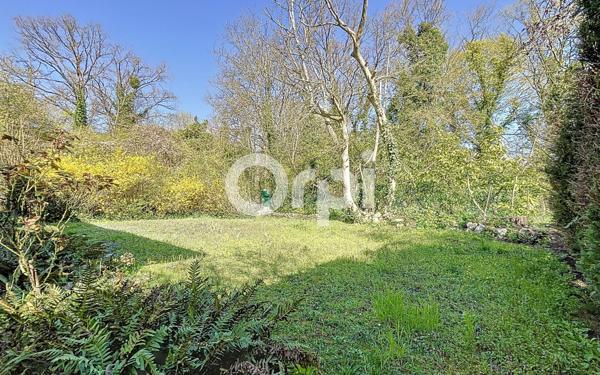 Maison à vendre    7 pièces • 221 m2 Vineuil-Saint-Firmin