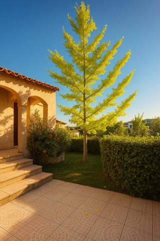 Maison à vendre 7 pièces GRABELS (34)