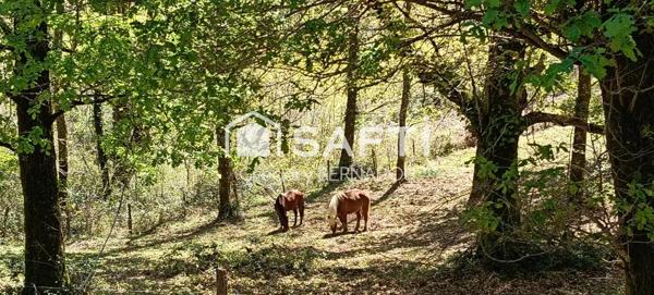 Au calme, en pleine nature, nichée dans la forêt