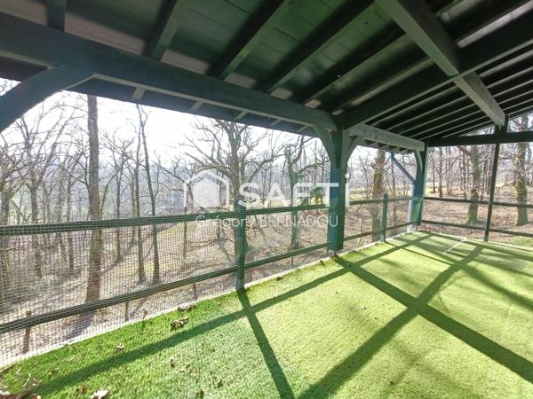 Au calme, en pleine nature, nichée dans la forêt