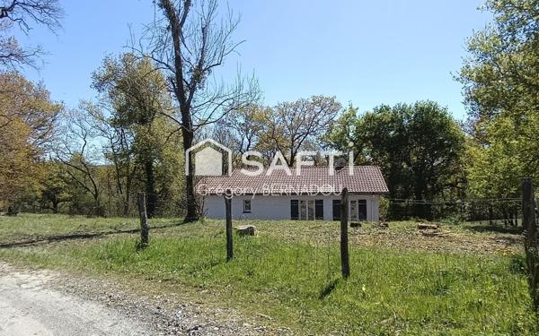 Au calme, en pleine nature, nichée dans la forêt
