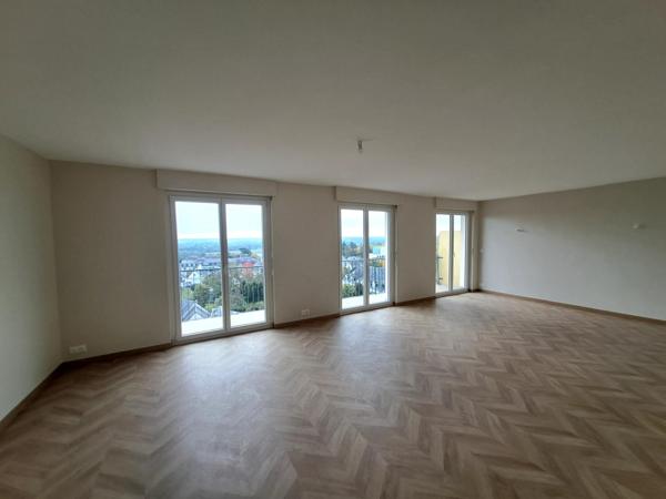 APPARTEMENT AVEC  VUE SUR LOIRE