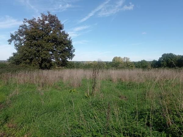 Terrain à vendre 35 000 € Saint-Junien 3247 m² DPE