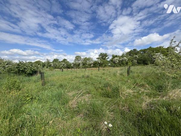 SECTEUR SAINT JEAN LE BLANC / PROPRIÉTÉ EN PIERRE AVEC TERRAIN D'ENVIRON 1.5HA