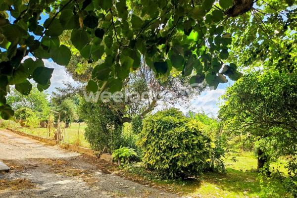 Maison à vendre 10 pièces de 141 m² à Villemur-sur-Tarn