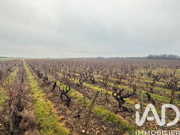 Terrain à vendre 39 692 m² Vernou-sur-Brenne