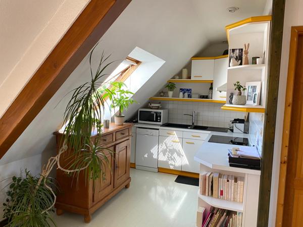 Appartement de charme en duplex F4 avec terrasse sans vis à vis à Horbourg Wihr