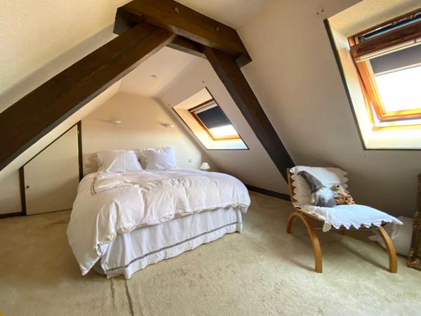 Appartement de charme en duplex F4 avec terrasse sans vis à vis à Horbourg Wihr