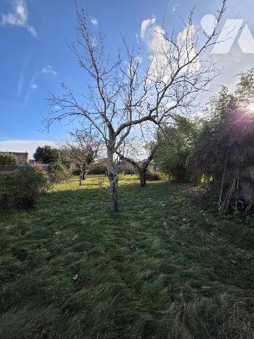 Maison individuelle sur terrain clos et arboré