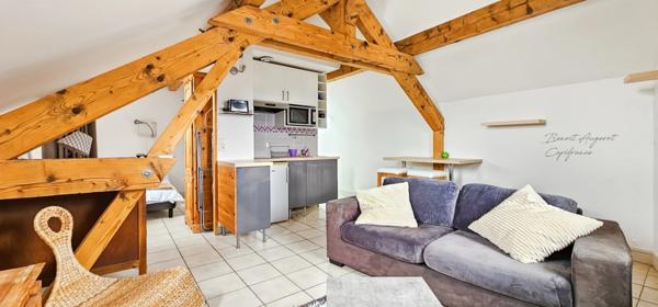 Charmant T1 de 25m² sous les toits, Proméry-Pringy-Annecy