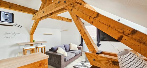 Charmant T1 de 25m² sous les toits, Proméry-Pringy-Annecy