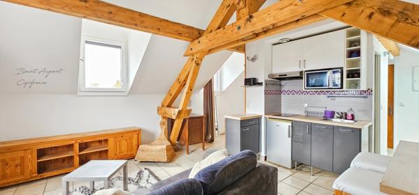 Charmant T1 de 25m² sous les toits, Proméry-Pringy-Annecy